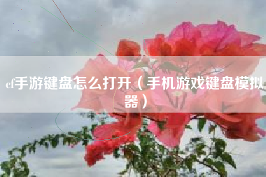 cf手游键盘怎么打开（手机游戏键盘模拟器）