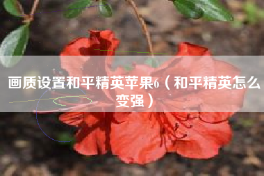 画质设置和平精英苹果6（和平精英怎么变强）