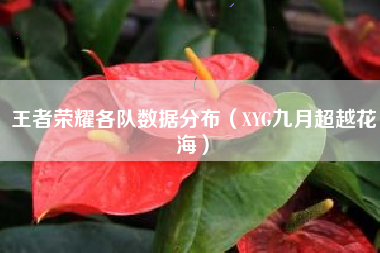 王者荣耀各队数据分布（XYG九月超越花海）