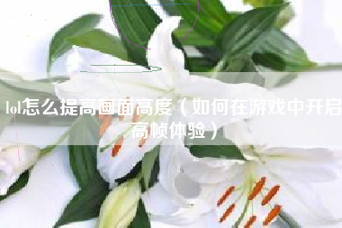 lol怎么提高画面高度（如何在游戏中开启高帧体验）