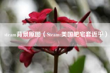 steam背景原图（Steam:美国肥宅套近乎）