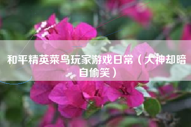 和平精英菜鸟玩家游戏日常（大神却暗自偷笑）