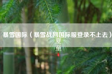 暴雪国际（暴雪战网国际服登录不上去）