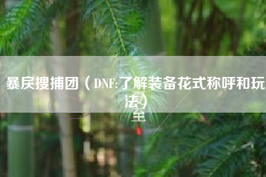 暴戾搜捕团（DNF:了解装备花式称呼和玩法）