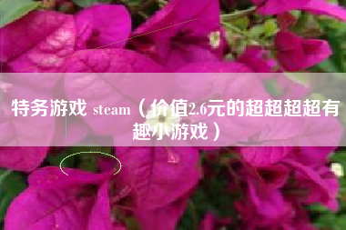 特务游戏 steam（价值2.6元的超超超超有趣小游戏）