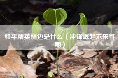 和平精英弱边是什么（冲锋崛起未来可期）