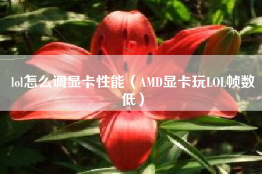 lol怎么调显卡性能（AMD显卡玩LOL帧数低）