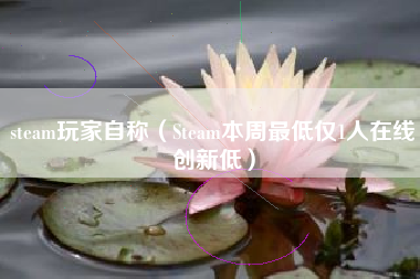 steam玩家自称（Steam本周最低仅1人在线创新低）