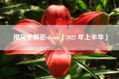 用文字解密steam（2022 年上半年）