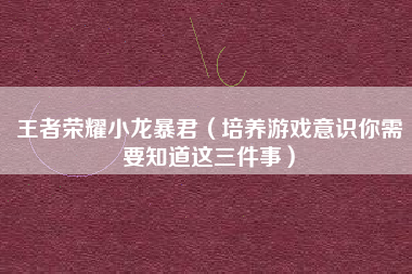 王者荣耀小龙暴君（培养游戏意识你需要知道这三件事）