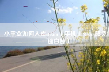 小黑盒如何入库steam（手机上Steam限免一键白嫖）