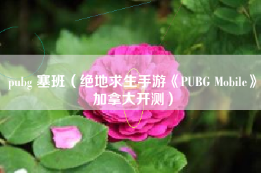 pubg 塞班（绝地求生手游《PUBG Mobile》加拿大开测）