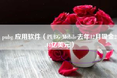 pubg 应用软件（PUBG Mobile去年12月吸金2.44亿美元）