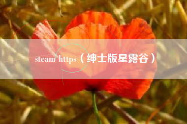 steam https（绅士版星露谷）