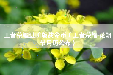 王者荣耀进阶版战令币（王者荣耀:花朝节月历公布）