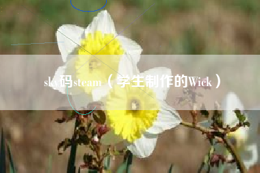 sky码steam（学生制作的Wick）