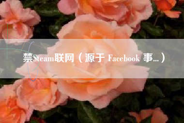 禁Steam联网（源于 Facebook 事...）