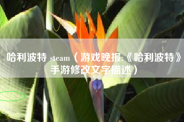 哈利波特 steam（游戏晚报:《哈利波特》手游修改文字描述）