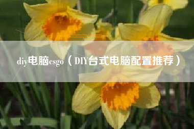 diy电脑csgo（DIY台式电脑配置推荐）