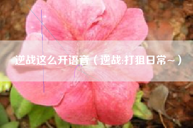 逆战这么开语音（逆战:打狙日常~）