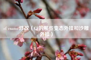 cf cname修改（CF的那些变态外挂和沙雕外挂）