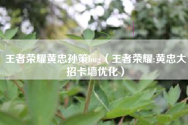 王者荣耀黄忠孙策bug（王者荣耀:黄忠大招卡墙优化）