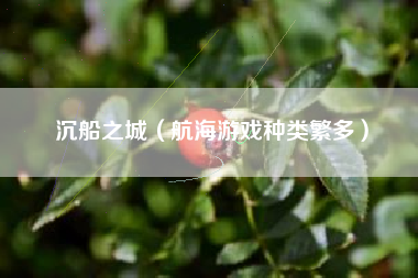 沉船之城（航海游戏种类繁多）