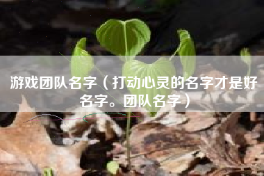 游戏团队名字（打动心灵的名字才是好名字。团队名字）