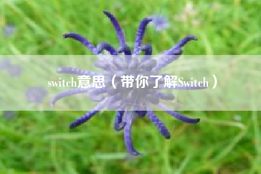 switch意思（带你了解Switch）