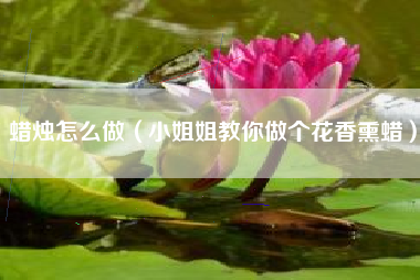 蜡烛怎么做（小姐姐教你做个花香熏蜡）