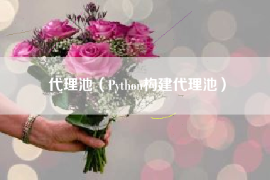 代理池（Python构建代理池）