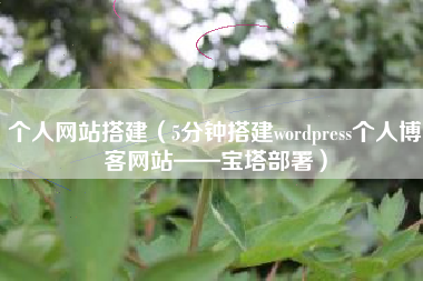 个人网站搭建（5分钟搭建wordpress个人博客网站——宝塔部署）