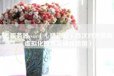 云服务器cvm（「腾讯云」首次对外披露虚拟化技术发展线路图）