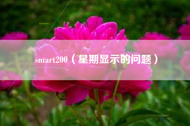 smart200（星期显示的问题）