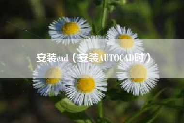 安装cad（安装AUTOCAD时）