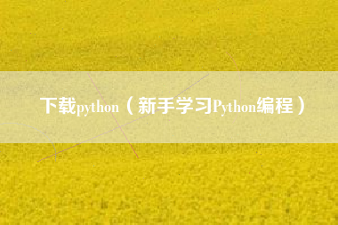 下载python（新手学习Python编程）