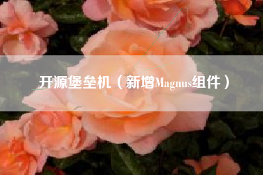 开源堡垒机（新增Magnus组件）