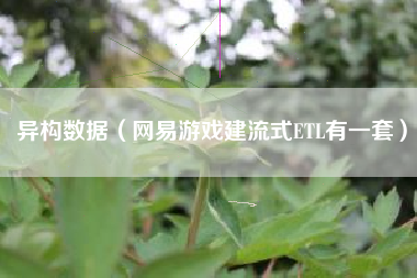 异构数据（网易游戏建流式ETL有一套）