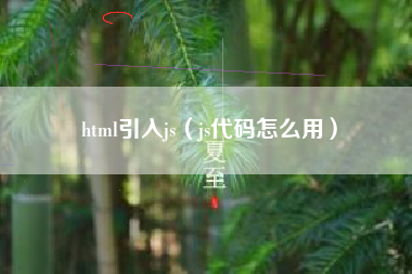 html引入js（js代码怎么用）