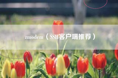 zmodem（SSH客户端推荐）