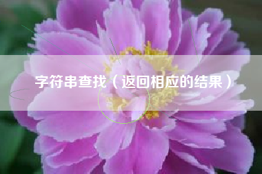 字符串查找（返回相应的结果）