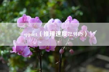 sppnet（推理速度72.9FPS）