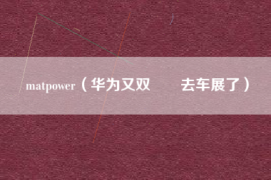 matpower（华为又双叒叕去车展了）