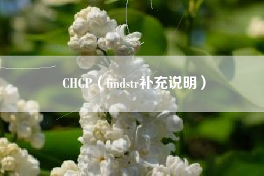 CHCP（findstr补充说明）