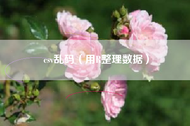 csv乱码（用R整理数据）