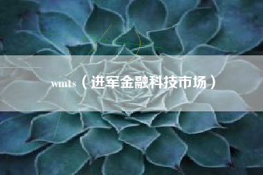 wmts（进军金融科技市场）