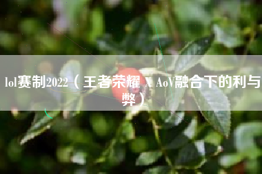 lol赛制2022（王者荣耀 X AoV融合下的利与弊）