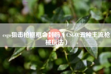 csgo狙击枪框框会封吗（CSGO:五种主流枪械玩法）