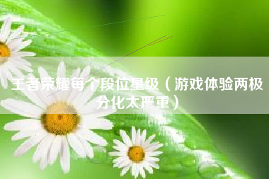 王者荣耀每个段位星级（游戏体验两极分化太严重）