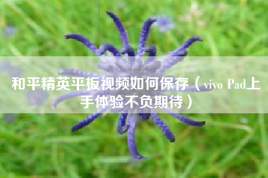 和平精英平板视频如何保存（vivo Pad上手体验不负期待）